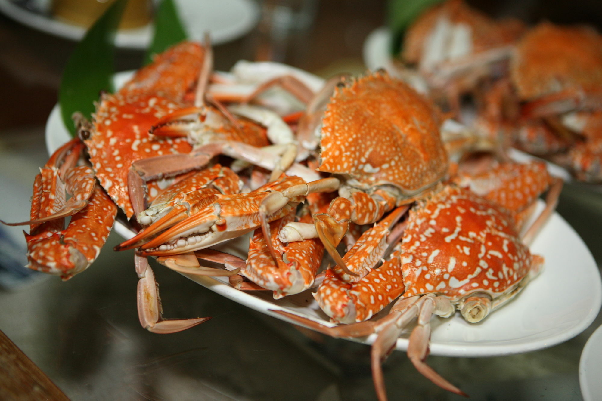 Salakphet Resort Koh Chang Ngoại thất bức ảnh